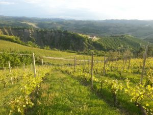 Le vigne di Piemonte nella lista Unesco