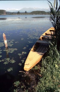 Lago di Candia - scorcio - foto di Giovanni Dughera 