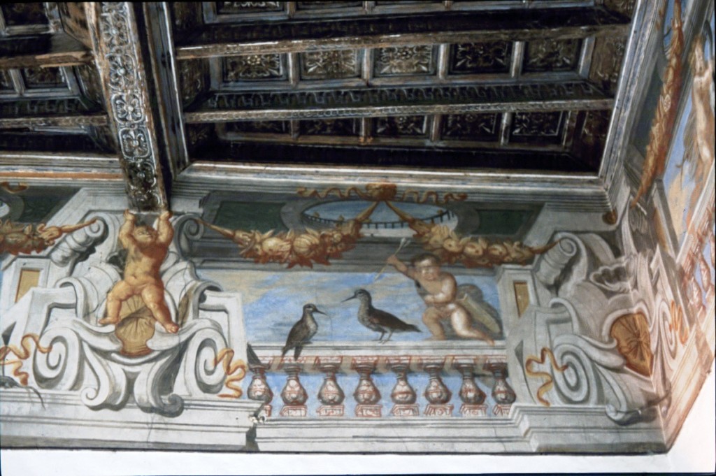 Castello di Vische - dettaglio pittorico con uccelli acquatici - foto di Giovanni Dughera