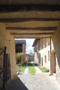 11800151_850754538366016_4279054729035208987_n