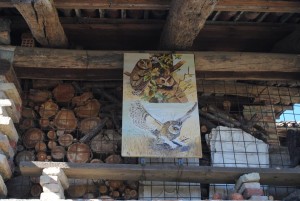 1506514_850754488366021_8630242544995384297_n