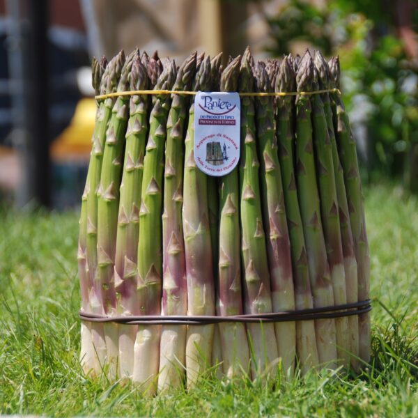 I prodotti simbolo del Pianalto di Poirino, asparagi di Santena e Tinca gobba dorata, protagonisti di sagre e fiere nel mese di maggio