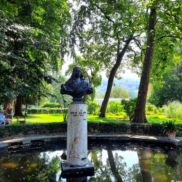 Alla scoperta dell'Orto Botanico di Torino, voluto da re Vittorio Amedeo II di Savoia