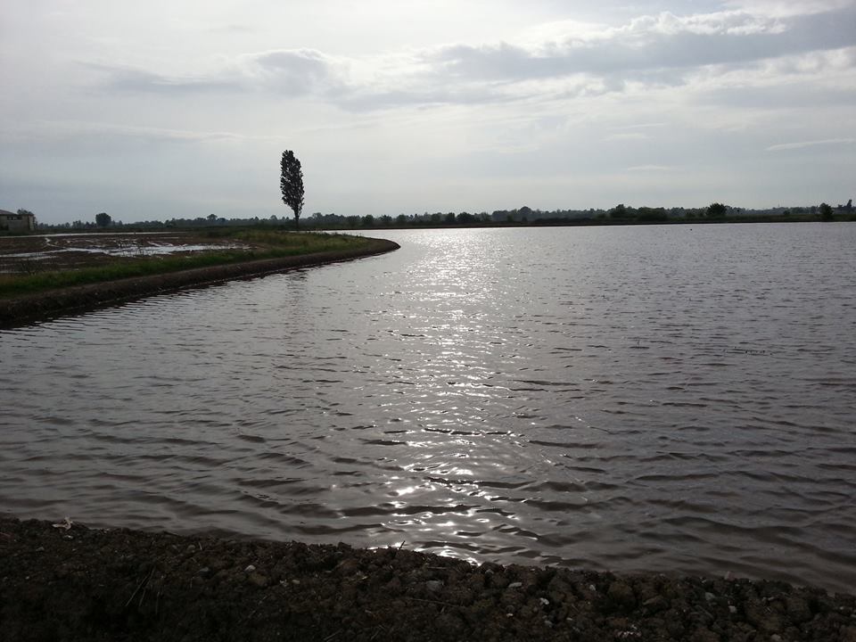 Tradizioni novaresi: la Canson di Ranin