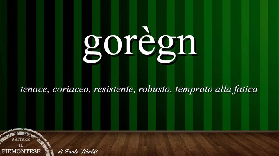 Pillole di piemontese - usi linguistici dell'aggettivo "gorègn"