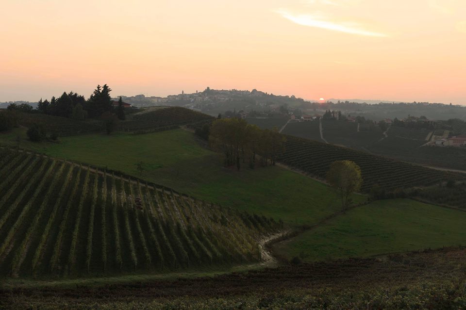 Agliano, terra di acque termali, barbera e..... birra!