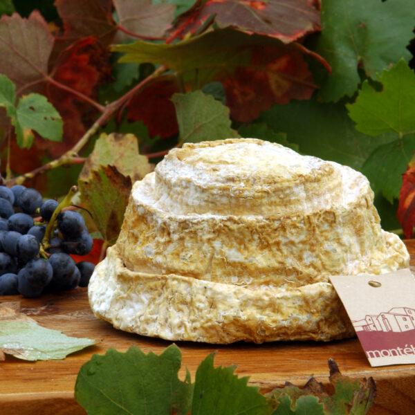 Montébore, il tesoro ritrovato delle valli Tortonesi